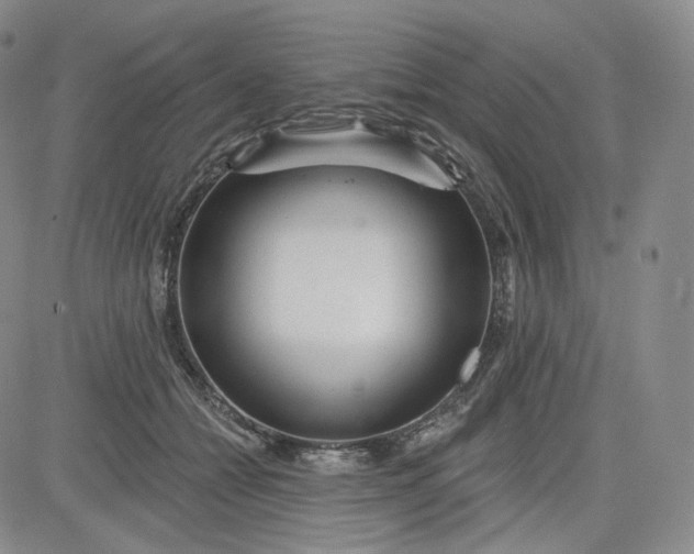 X0000083610558200702260931