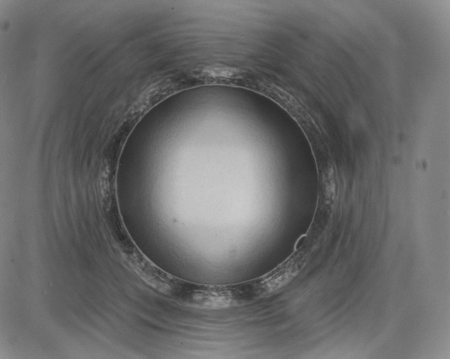 X0000083610559200702260931