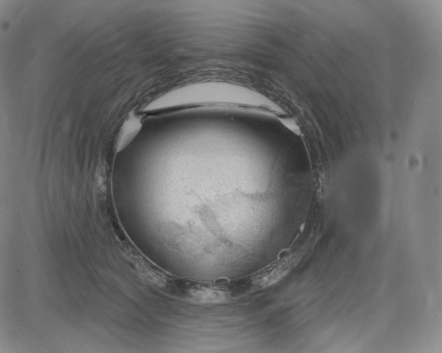 X0000083610561200702260931