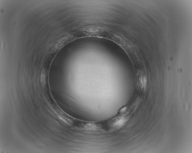 X0000083610562200702260931