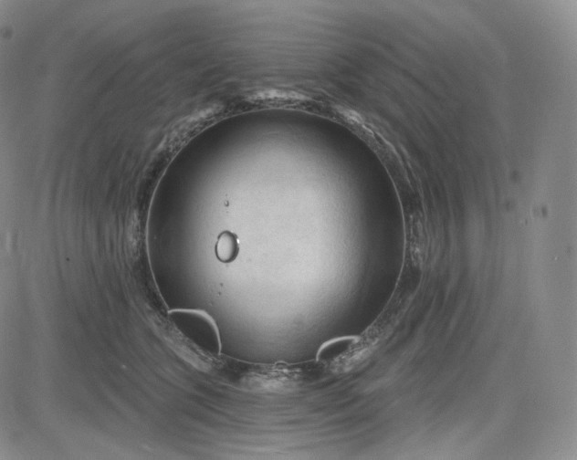 X0000083610563200702260931