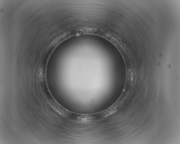 X0000083610564200702260931