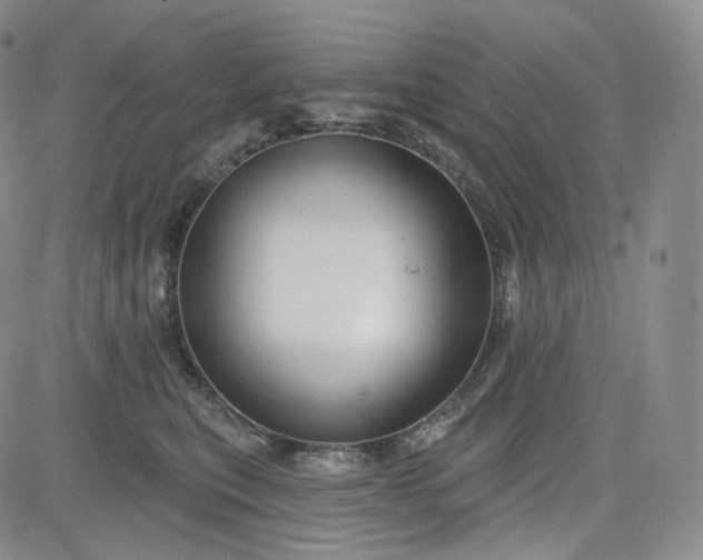 X0000083610567200702260931