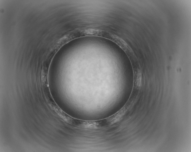 X0000083610569200702260931