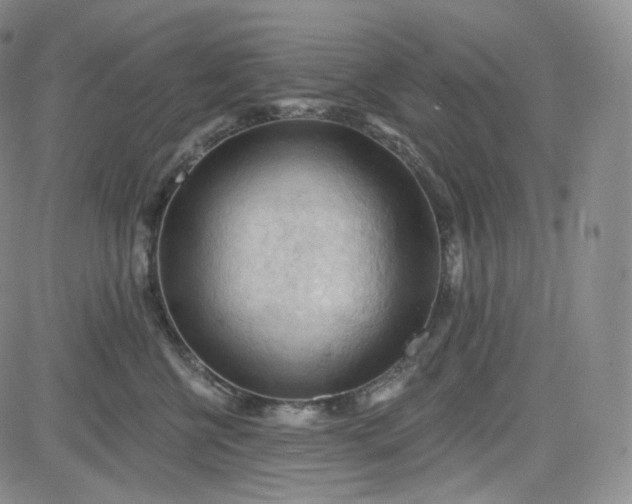 X0000083610570200702260931