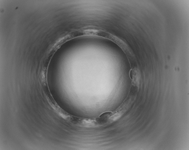 X0000083610573200702260931