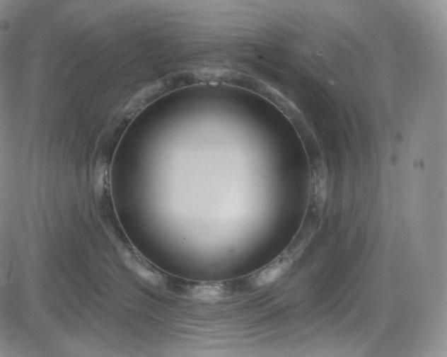 X0000083610574200702260931