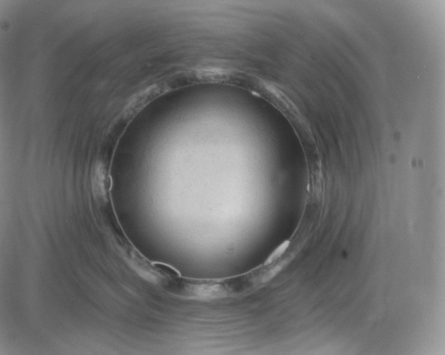 X0000083610575200702260931