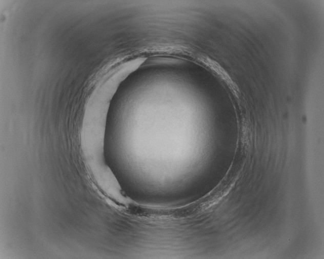 X0000083610577200702260930