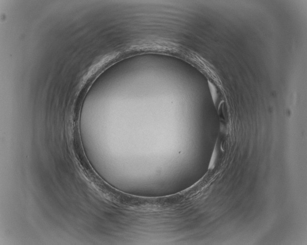 X0000083610578200702260930