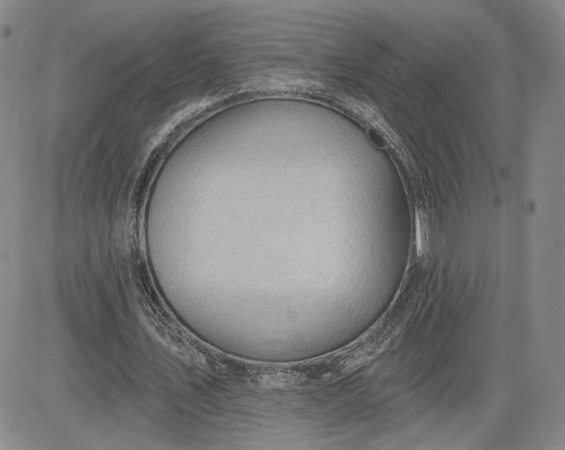 X0000083610579200702260930