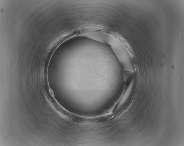 X0000083610581200702260930