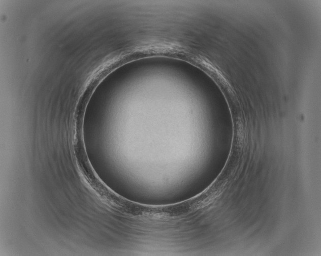 X0000083610582200702260930