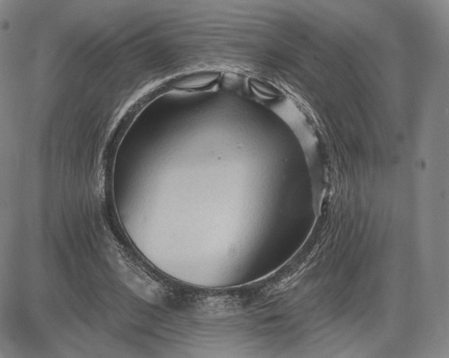 X0000083610584200702260930