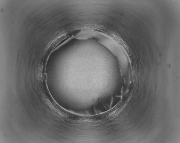 X0000083610585200702260930