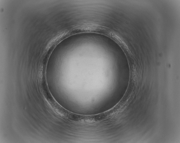 X0000083610586200702260930