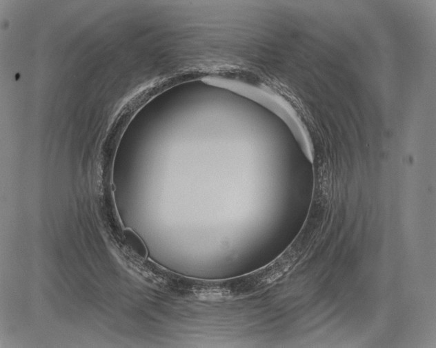 X0000083610587200702260930