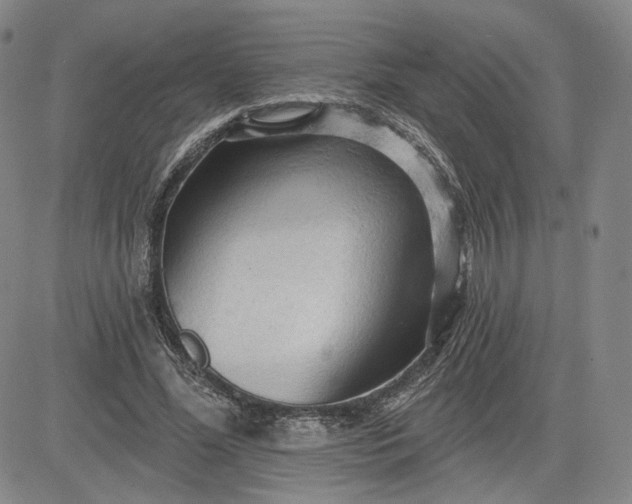 X0000083610588200702260930