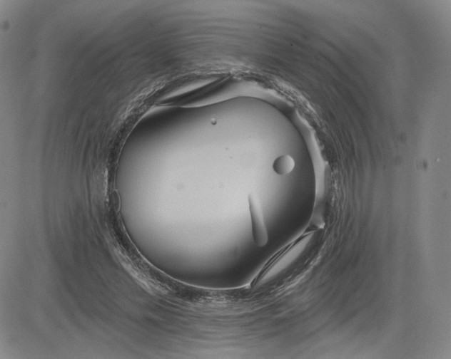 X0000083610589200702260930