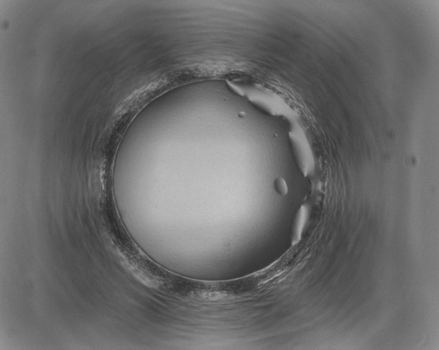 X0000083610590200702260930