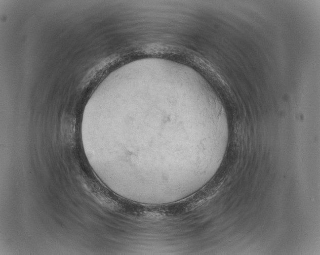 X0000083610592200702260930