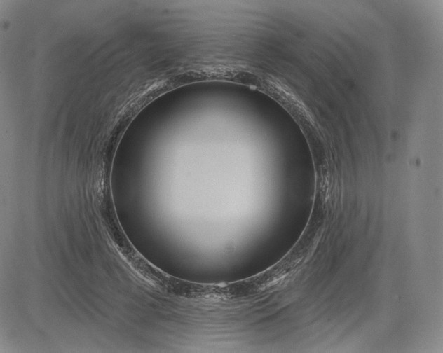 X0000083610593200702260930