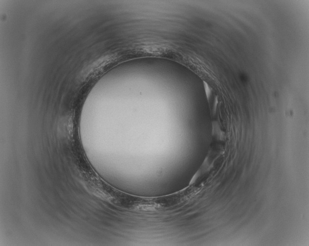 X0000083610595200702260930