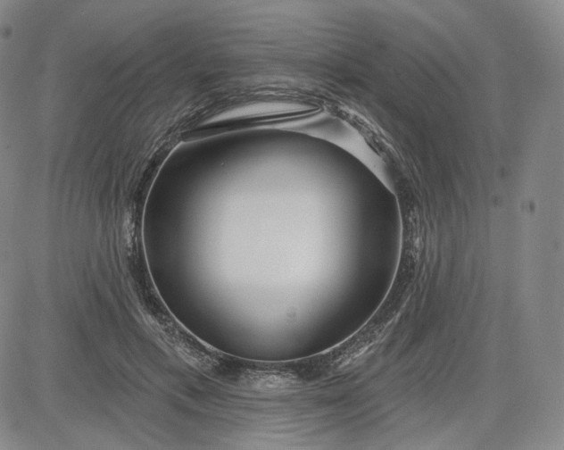 X0000083610597200702260930