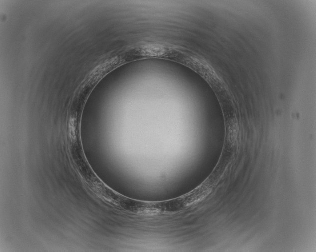 X0000083610598200702260930