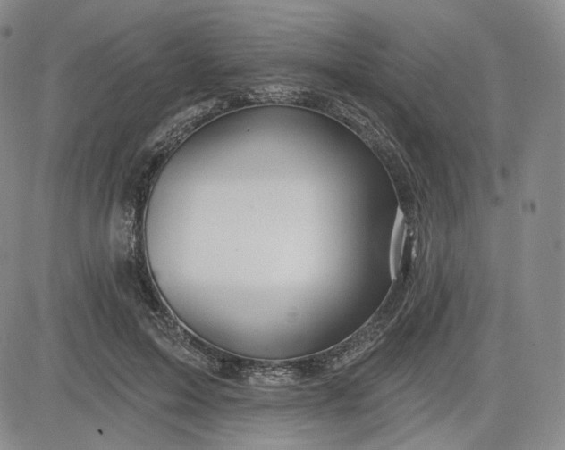 X0000083610599200702260930