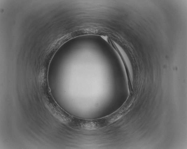 X0000083610600200702260930