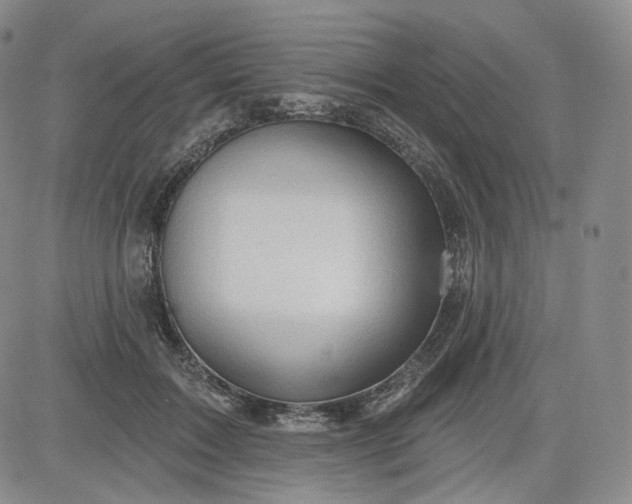 X0000083610603200702260930