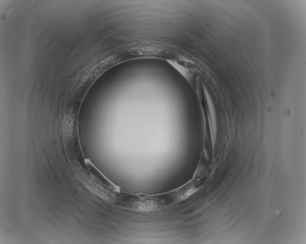 X0000083610604200702260930