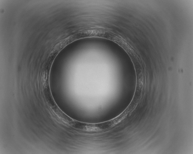 X0000083610605200702260930