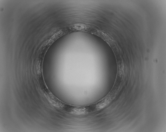 X0000083610606200702260930