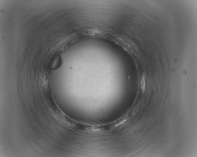 X0000083610607200702260930