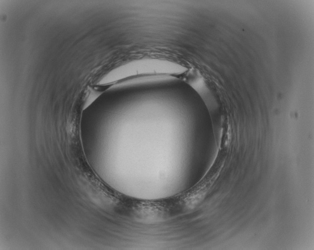 X0000083610608200702260929