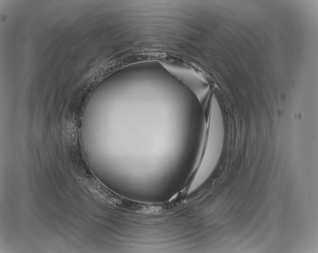 X0000083610609200702260929