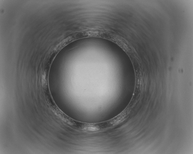 X0000083610610200702260929