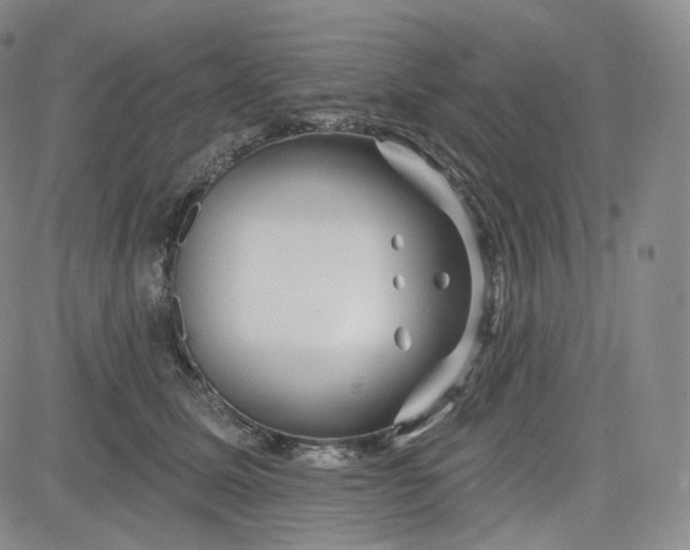 X0000083610611200702260929