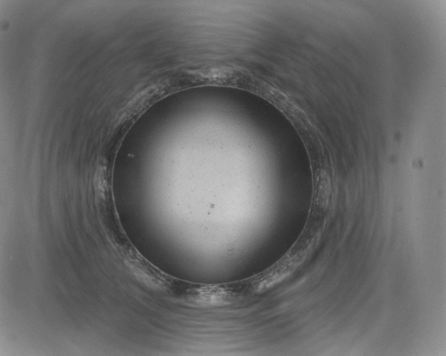 X0000083610612200702260929