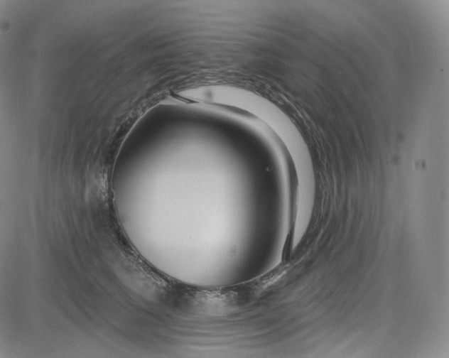 X0000083610613200702260929