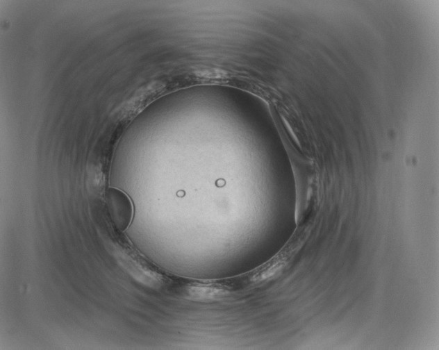 X0000083610614200702260929