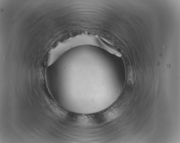 X0000083610616200702260929