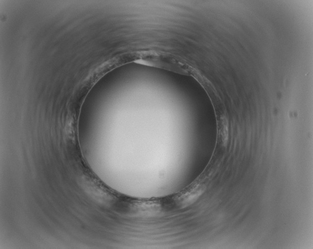 X0000083610619200702260929