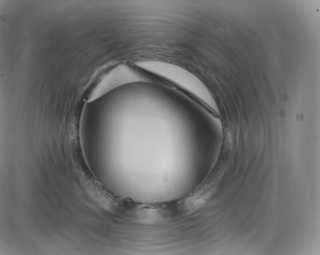 X0000083610620200702260929