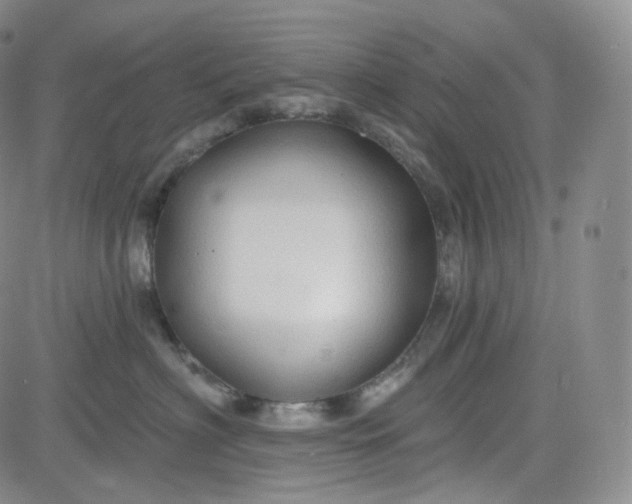 X0000083610622200702260929