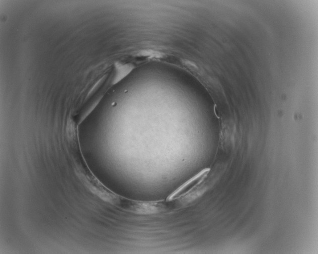 X0000083610623200702260929