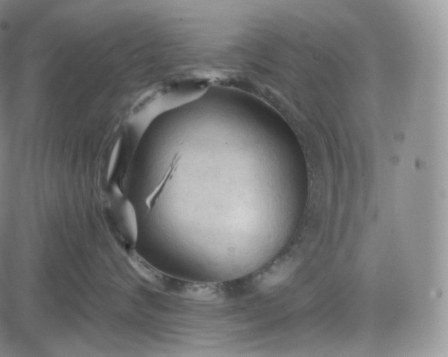 X0000083610624200702260929