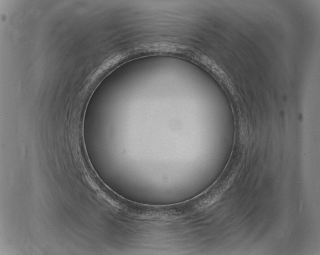 X0000083610625200702260928